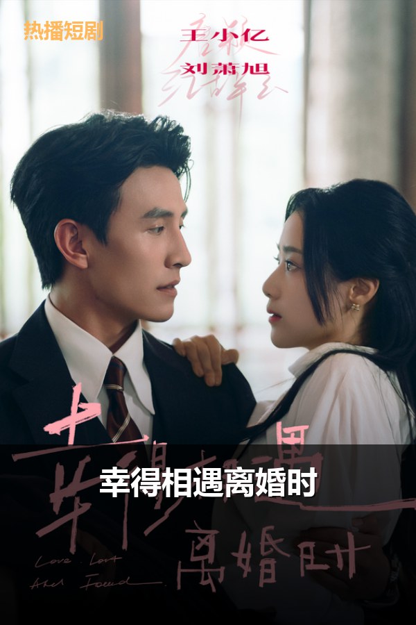 幸得相遇离婚时 海报